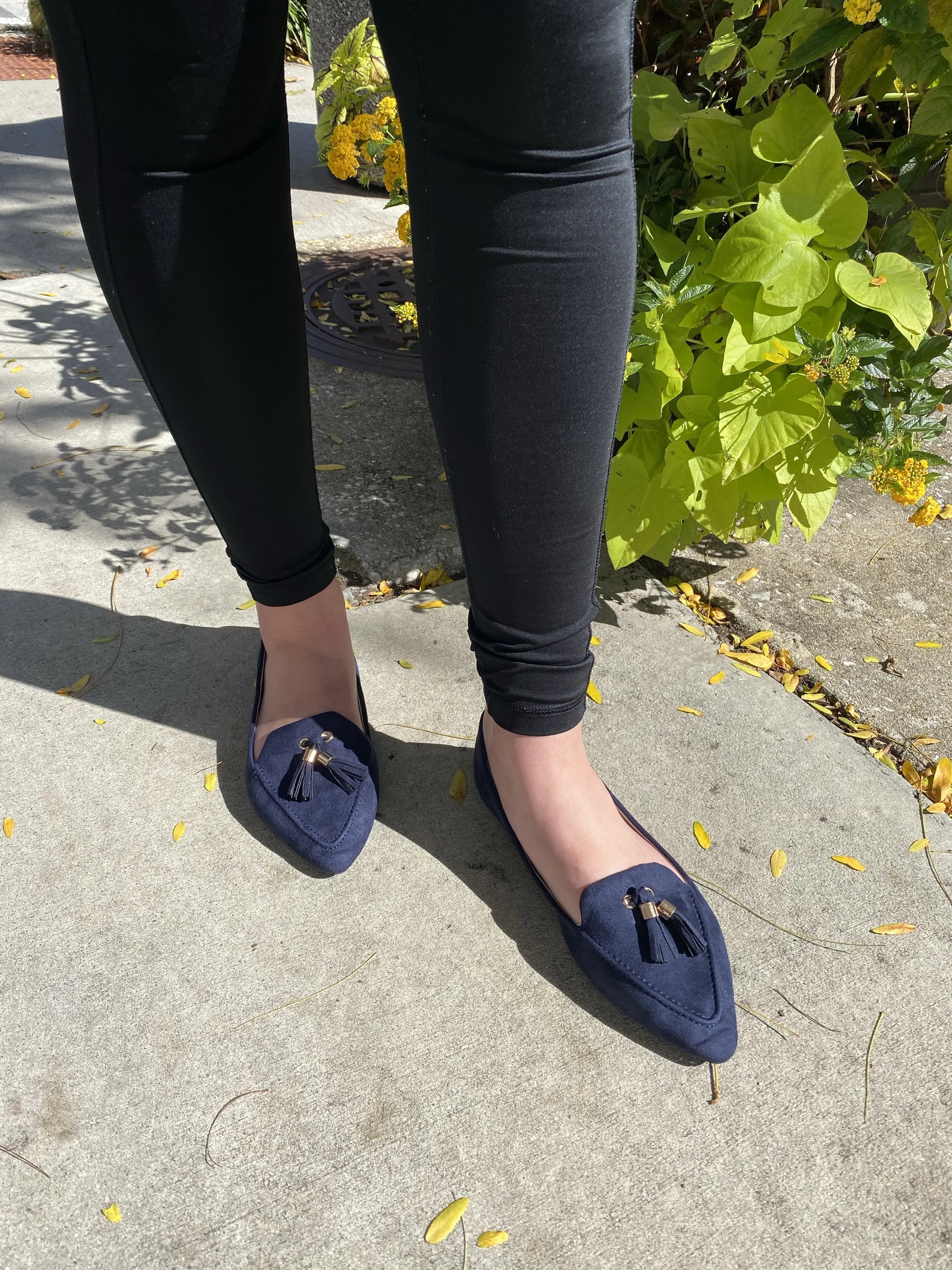Midnight Blues Rollasoles